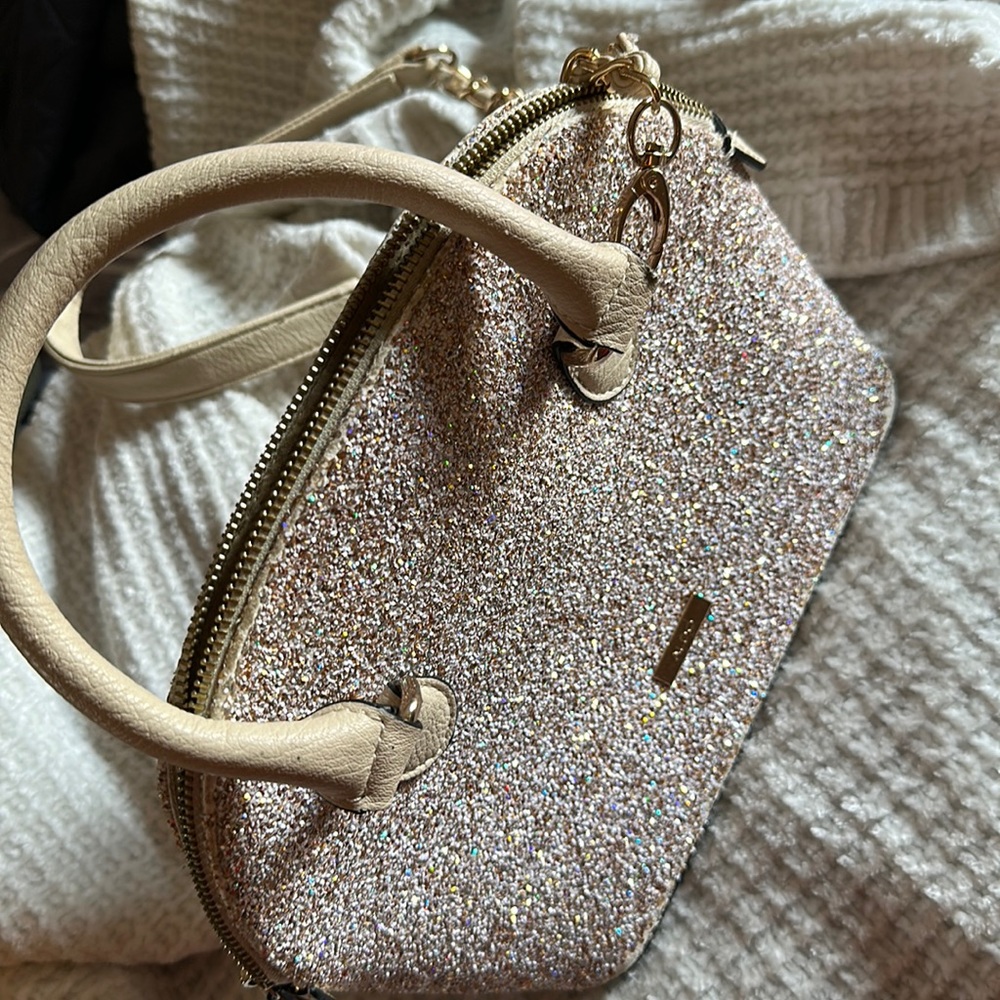 Glitter Aldo purse.